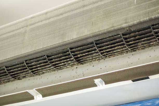 Best Local Air Duct Cleaning Services  in Lovettsville, VA